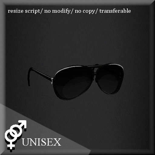 SUNGLASS LTI-II BLACK/SILVER     -RYCA-