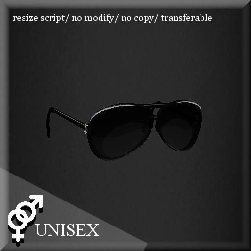 SUNGLASS LTI-II BLACK/GOLD     -RYCA-