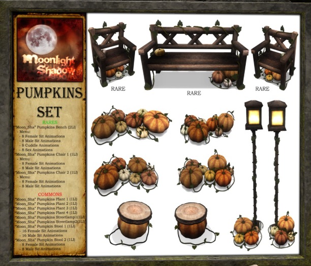 "Moon_Sha" Pumpkins Plant 4