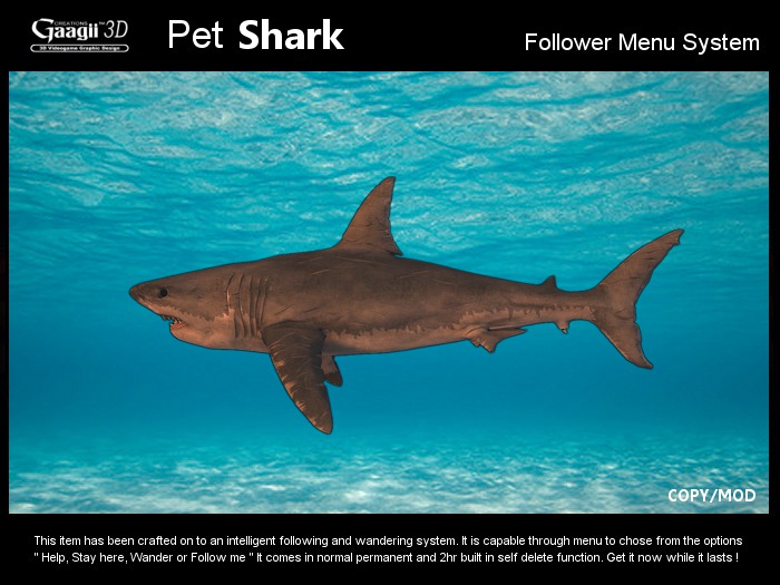 Gaagii - Pet Shark - Following System