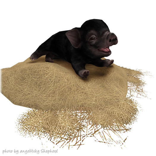 JIAN Playtime Piglets 1. Hay Napper BOX RARE