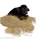 JIAN Playtime Piglets 1. Hay Napper BOX RARE