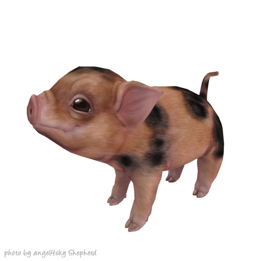 JIAN Playtime Piglets 5. Tricolor Companion BOX