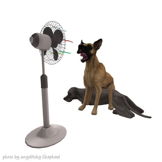 JIAN 'dorable Danes 1. Breez-e Jowls BOX RARE