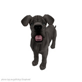 JIAN 'dorable Danes 4. Blue Companion Pup BOX