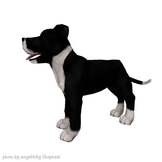 JIAN 'dorable Danes 11. Mantle Wander Pup BOX