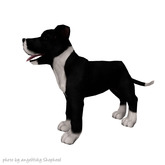 JIAN 'dorable Danes 11. Mantle Wander Pup BOX