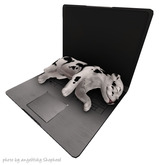JIAN 'dorable Danes 14. Compu-snooze BOX