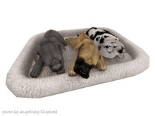 JIAN 'dorable Danes 15. Triple Baby Bed BOX
