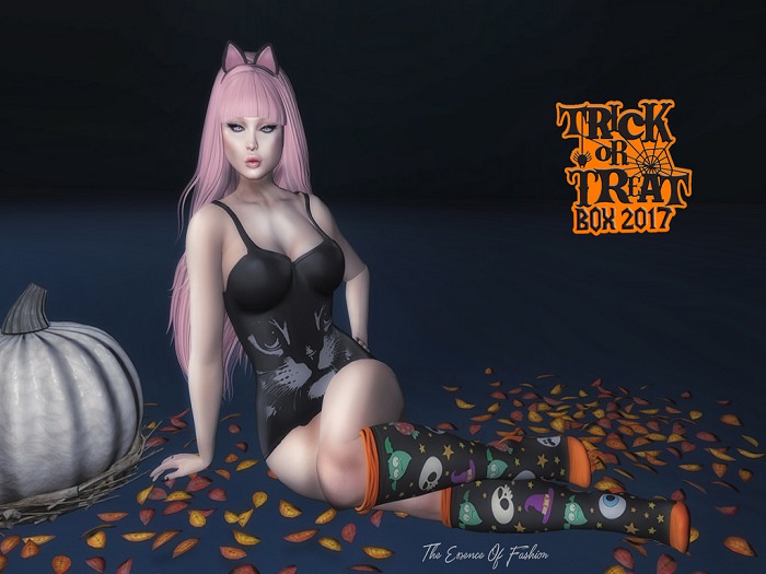 Trick or Treat Box 2017