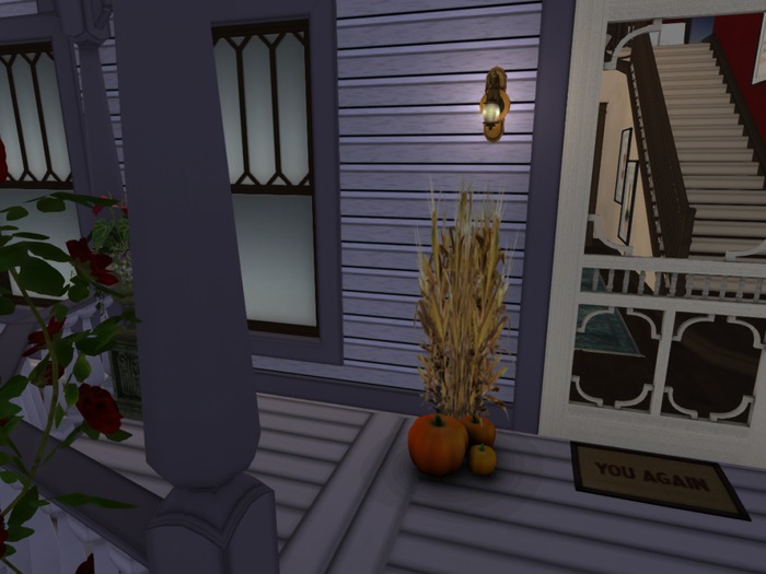 Pumpkin & Dried Corn group