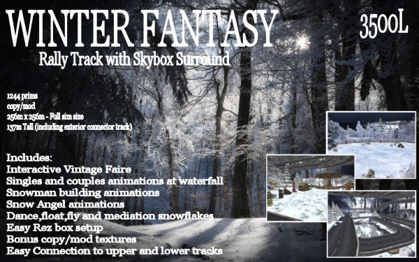 Winter Fantasy Rally Track