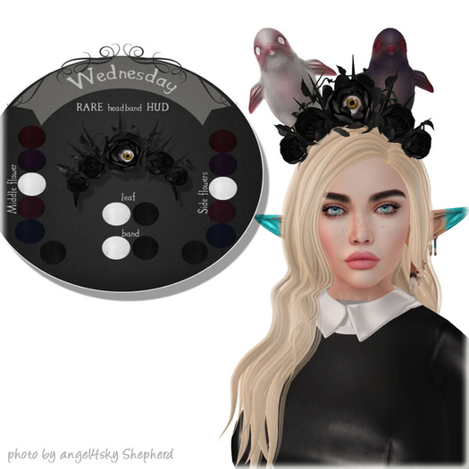 Foxes - Wednesday Lootbox 1 - Rare LootBox