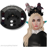 Foxes - Wednesday Lootbox 1 - Rare LootBox