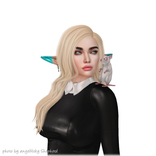 Foxes - Wednesday - Ratty - Light