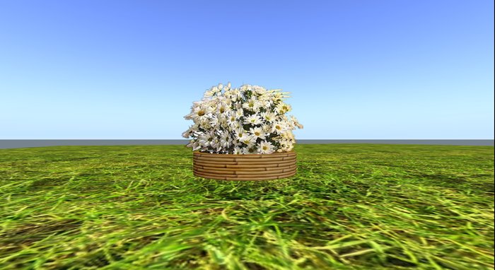 Flower pot bamboo  - Daises