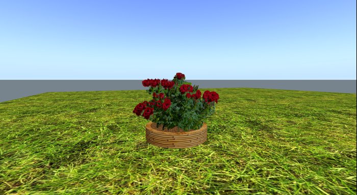 Flower pot bamboo - Red roses
