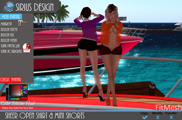 Sirius Design Sheer Open Shirt & Mini Shorts Boxed