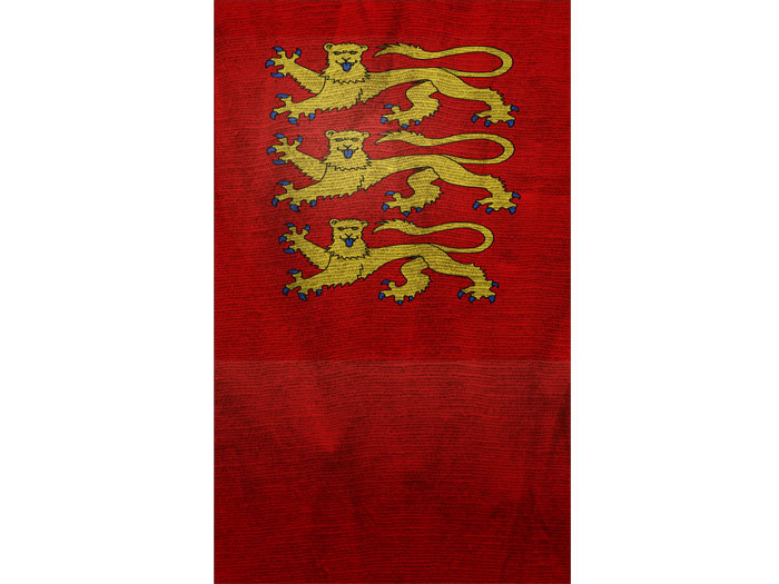 Medieval standart (flag, banner) - tex07