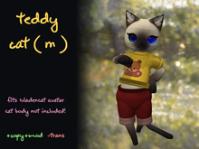 Fio: GIFT! (Male) Teddy Cat