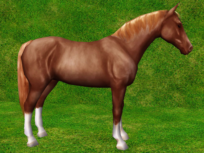 Bay Standing Horse - Mesh