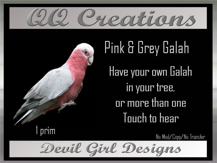 Pink & Grey Galah