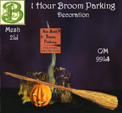 Decorative 1 Hr Broom Parking, 2LI