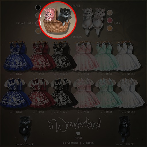 -Pixicat- Wonderland.BasketCat RARE