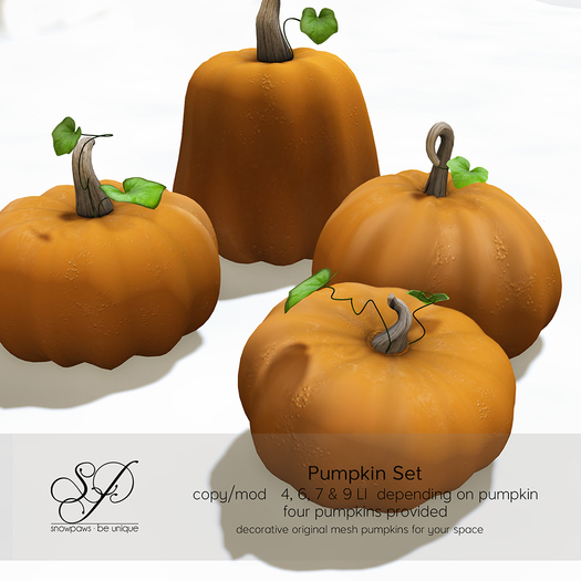 Snowpaws - Decorative Pumpkin Set