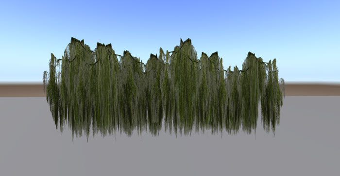 Trees Lining Williow