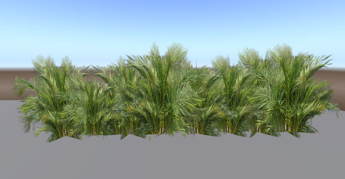 Tropical High Bushes Lining
