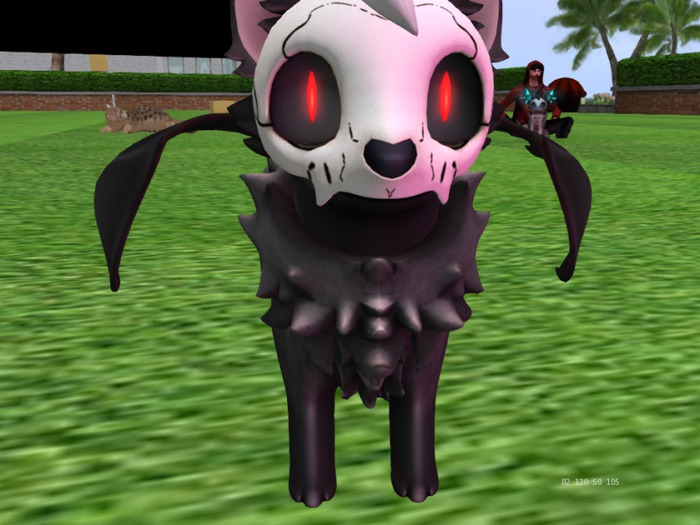 limited skin - bones