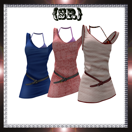 {SR}(Slink Physique) Fit Mesh-Box