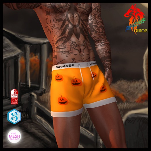 ::SC:: Boxers Halloween Edition "Pumpkins"