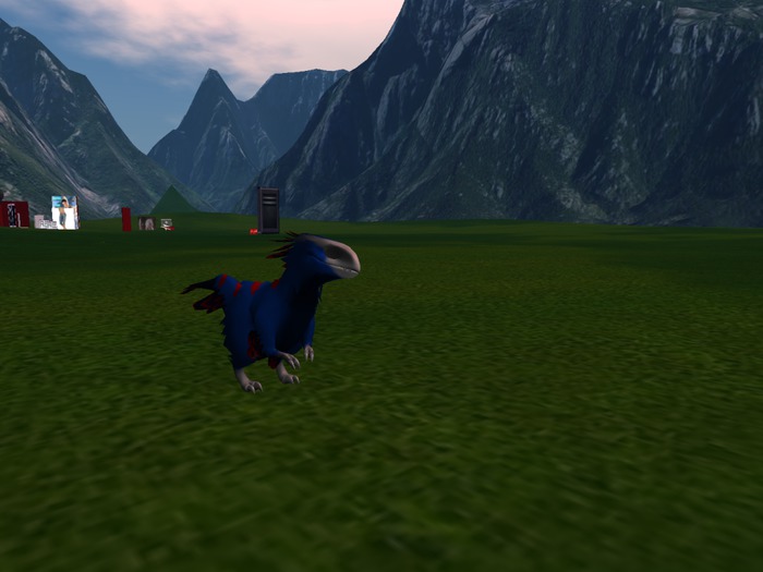 SpookyRaptorBlueRacer