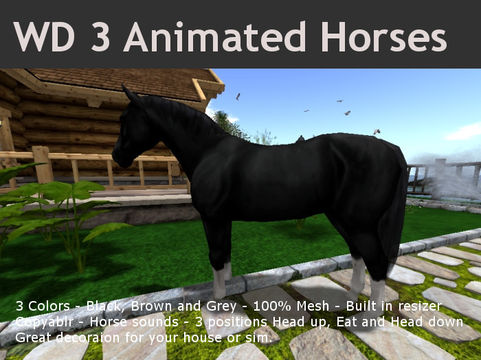 HORSES BOX - UNPACK ME
