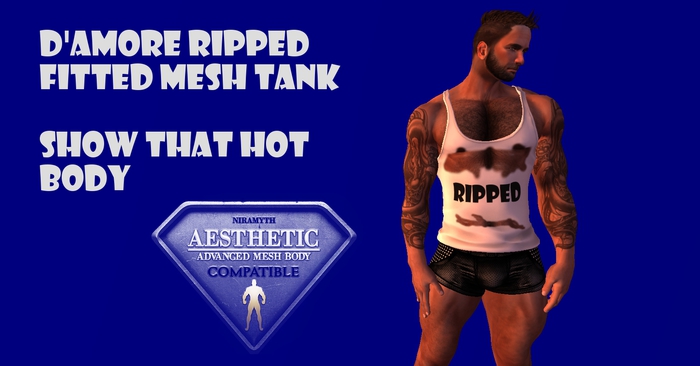 D'Amore Ripped Aesthetic Tank (Retail)