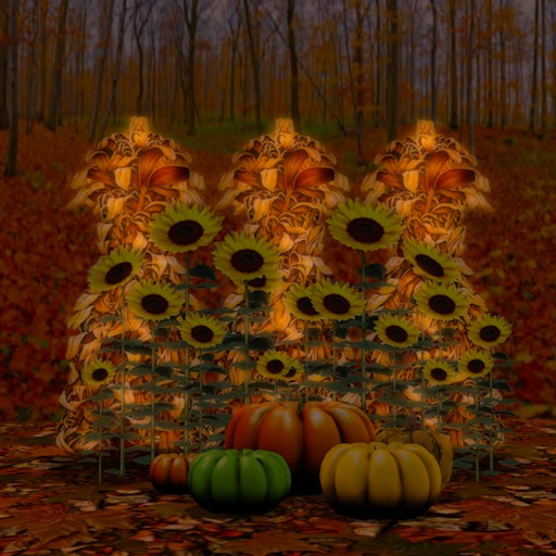 Cornstalks,Sunflowers,Pumpkins/26prim/Copy/Boxed