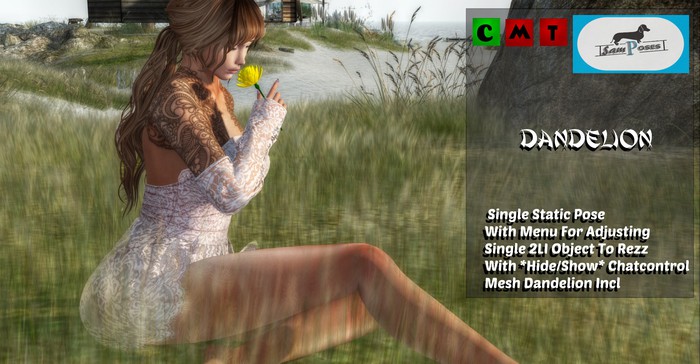 Dandelion - 