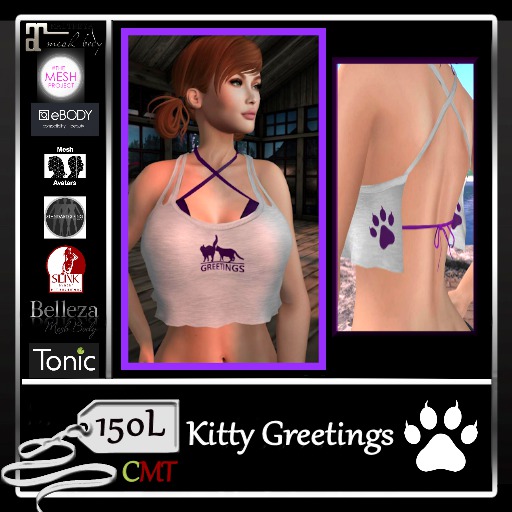 PAWS Womens Kitty Tshirt BOXED GREETINGS