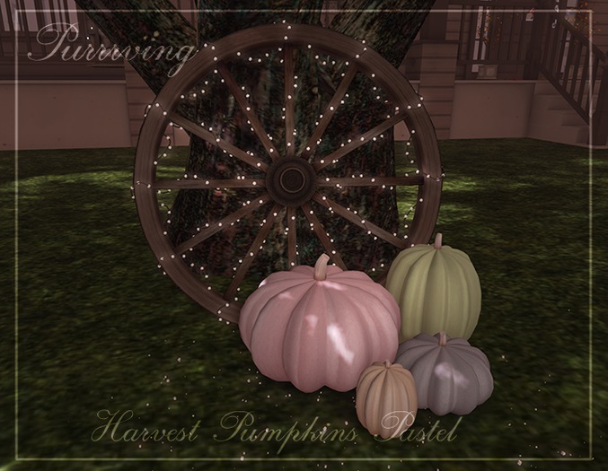 ~P~ Harvest Pumpkins Pastel