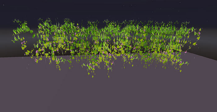 Hanging Bindweed Lining