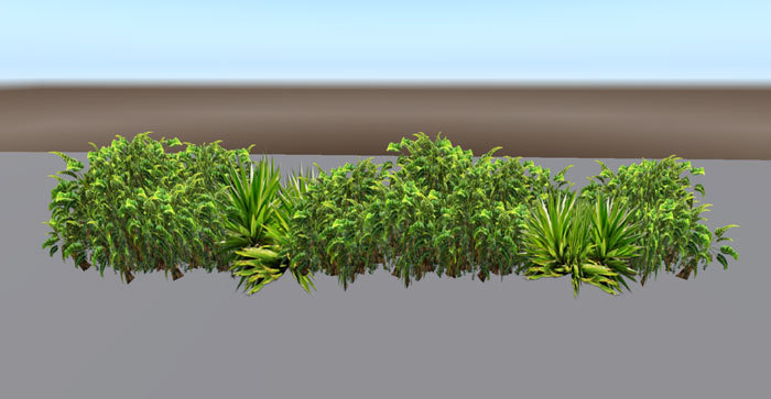 Tropical Diff Bush Lining