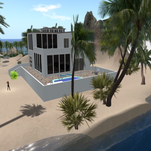 Modern house with pool