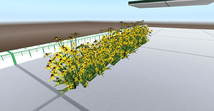 Field Yellow Flowers Lining