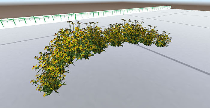 Field Yellow Flowers Semicircle