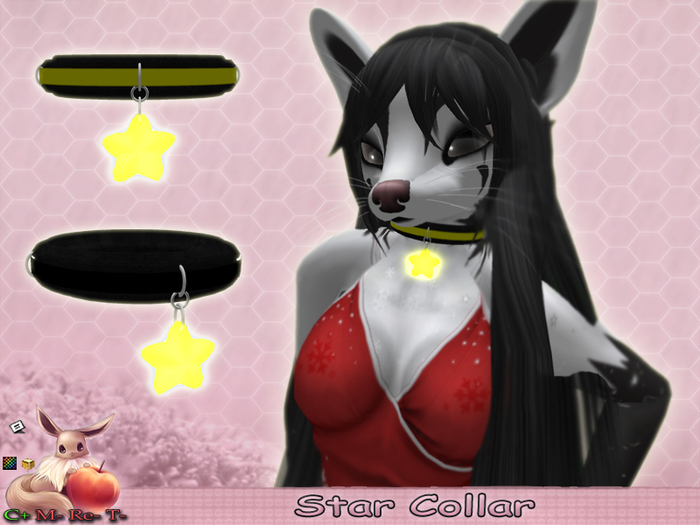 !N~N~P! Collar - Star *Hud Box*