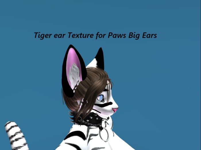 Big Ears Tiger1