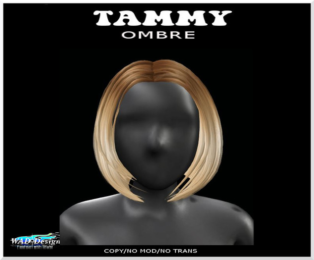 TAMMY OMBRE HAIR