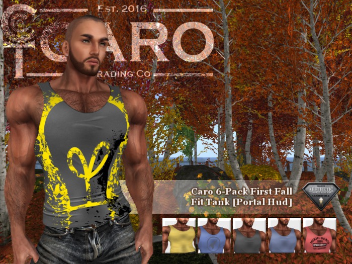 CARO TANK [PORTAL PACK ONE B] FIX